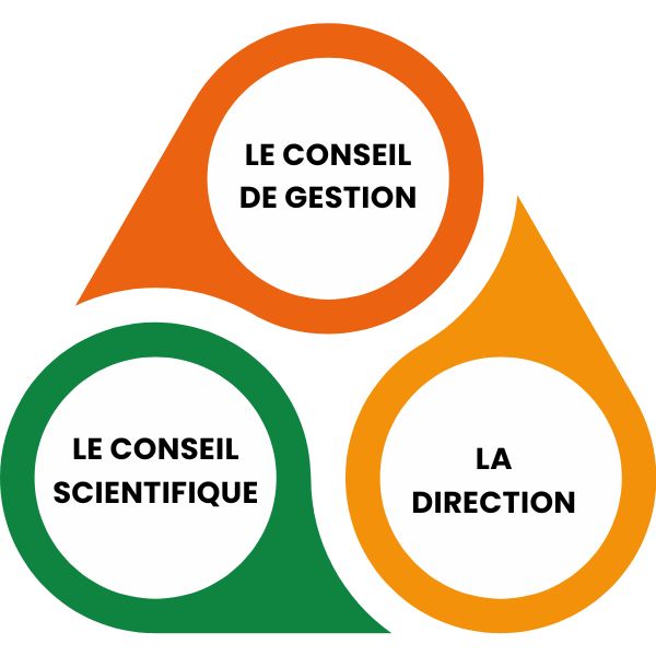 Les-Organes-de-l'ONEF
