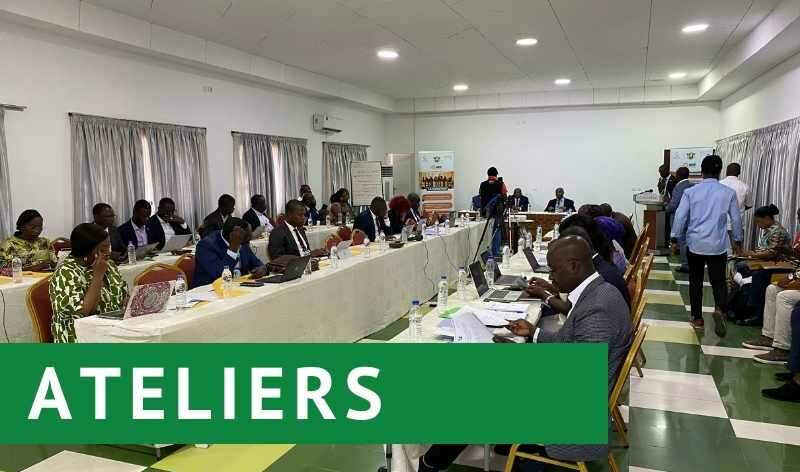 Atelier de formation des membres du réseau du SIMT