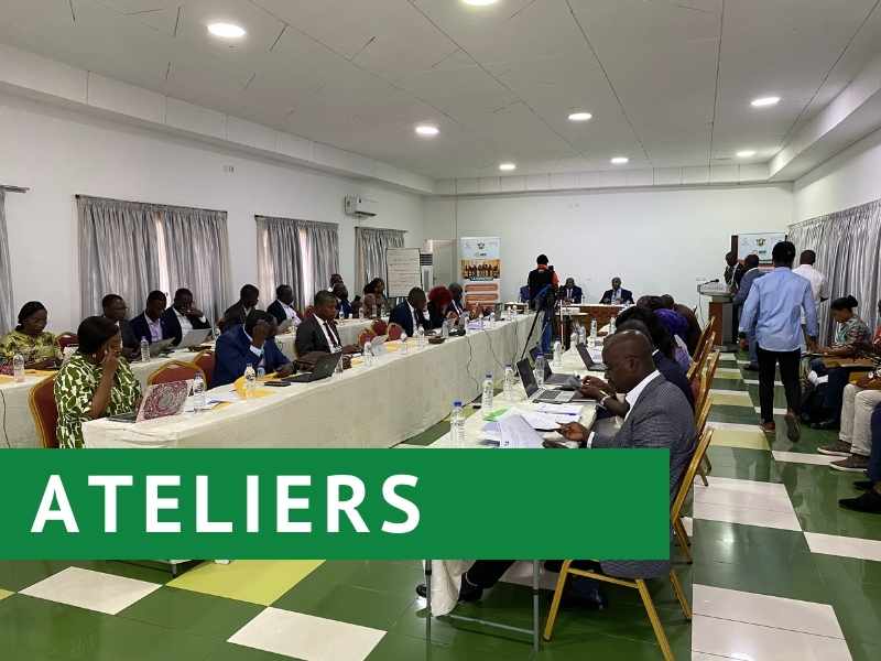 Atelier de formation des membres du réseau du SIMT