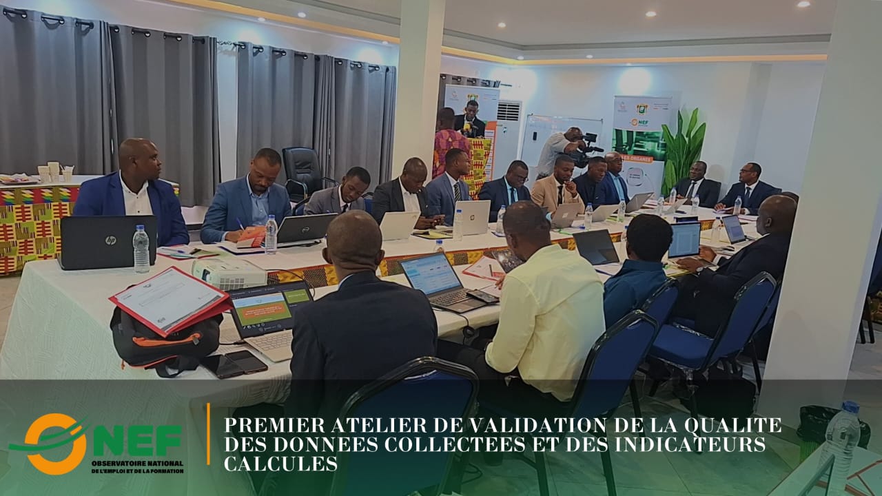 Premier atelier de validation de la qualité des données collectées et des indicateurs calculés issus de la première phase du dispositif du SIMT