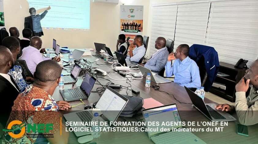 Séminaire de formation des agents de l’ONEF en logiciel statistiques