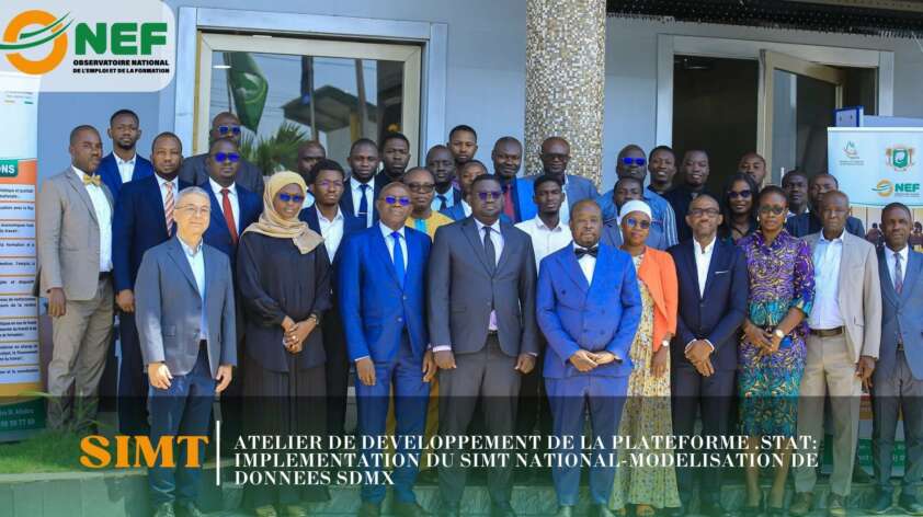 Atelier de développement de la plateforme .STAT : Implémentation du SIMT