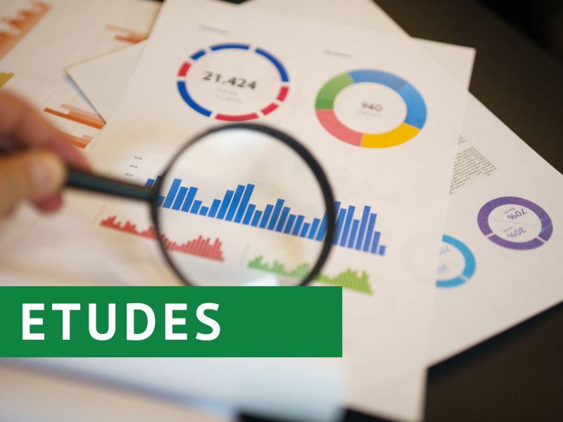 Étude sur les flux de main-d’œuvre en Côte d’Ivoire